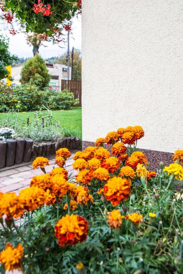 Homestay Zosienka - Goscinne
